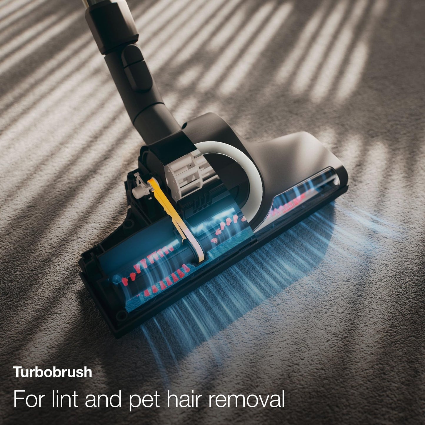 MIELE Classic C1 Turbo Team Bagged Canister Vacuum